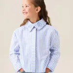 Iris Stripe Corsage Collar Shirt