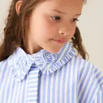 Iris Stripe Corsage Collar Shirt