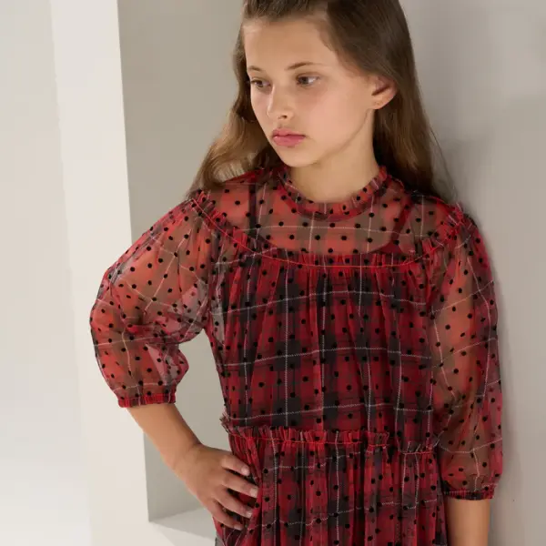 Cara Tartan Spot Dress