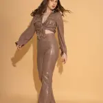 Grey Sequins Pants