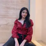 Elise maroon satin top