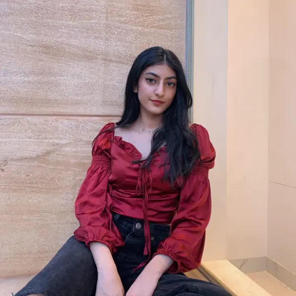 Elise maroon satin top