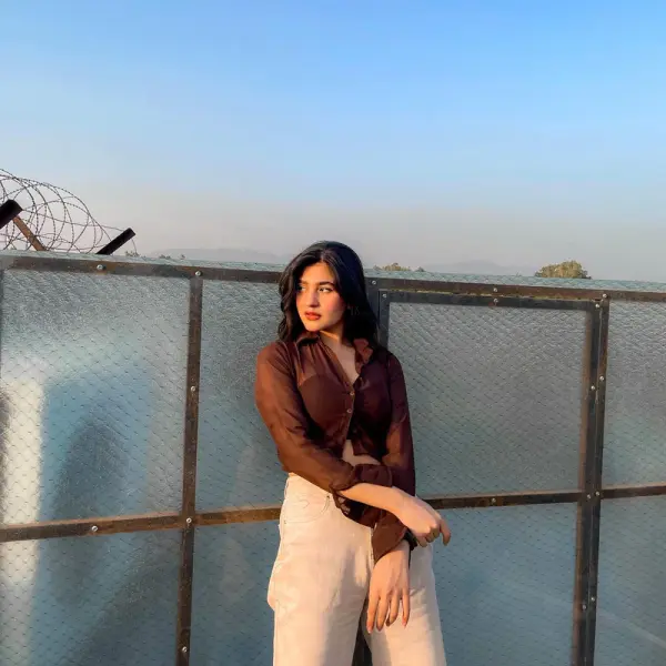 Trixie brown mesh shirt top